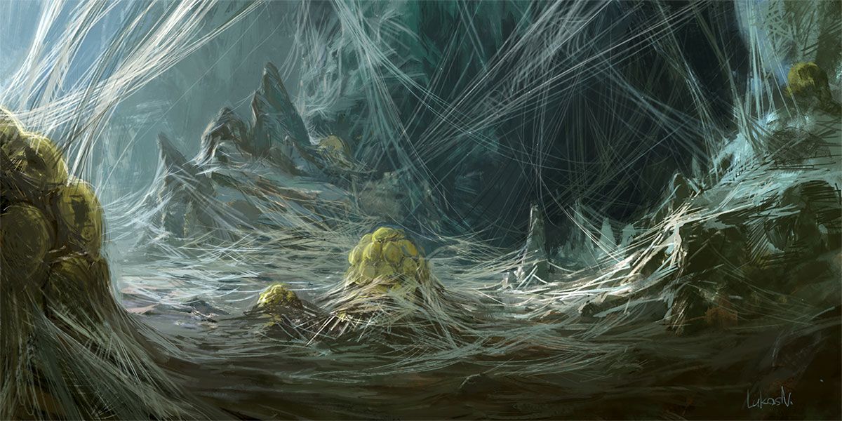 Spider's Territory